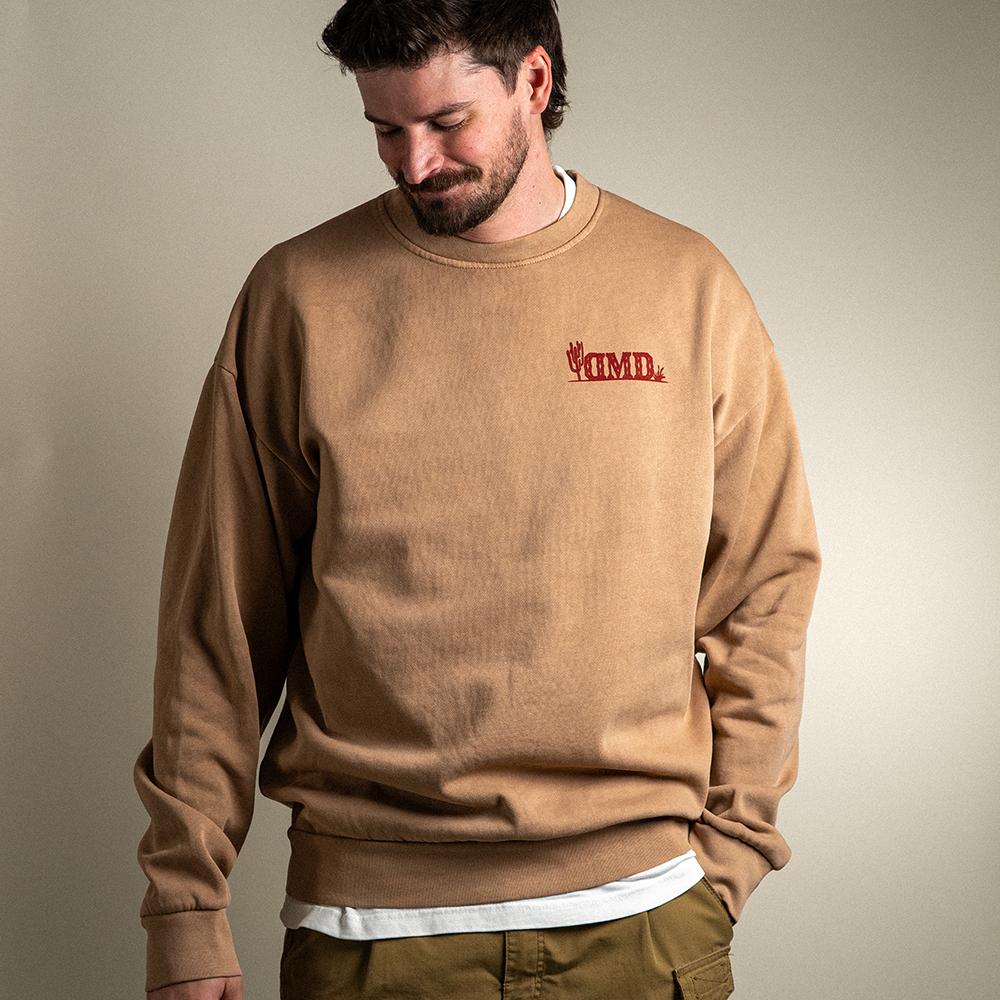 Model looking down wearing Final Frontier heavyweight crewneck sweatshirt